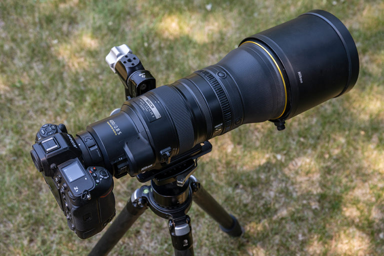 Nikon 400mm F2.8 Z 1.4x – Tom Bol Photography, LLC